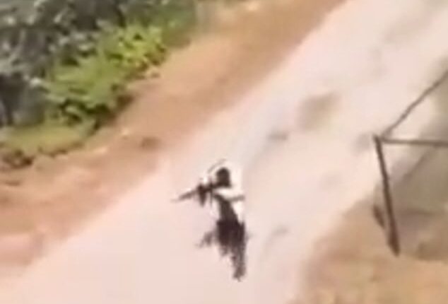 The suspected gunman was seen aiming an apparent rifle at college buildings as the university put students and staff under a shelter-in-place alert