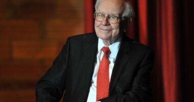 UnitedHealth makes investors like Warren Buffett happy by saying business is fine