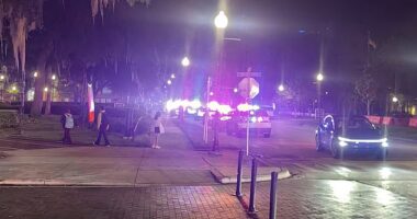 Police responded to the scene of the University of Florida Monday night after gunshots were heard near the library