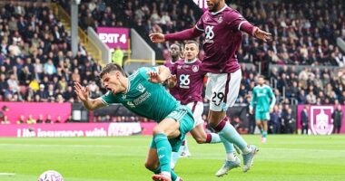 Milos Kerkez dives against Burnley on Sunday, an offence which saw him booked