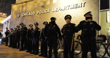 What Chicago's Bear of Little Brains Can't Do to Hamstring the Cops, a Civilian Panel Will – HotAir