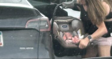 Nothing has caused as much surprise as the photo that emerged of Abby and Brittany Hensel loading a baby in a car seat into the back of a black Tesla in a parking lot in Arden Hills, Minnesota, last month