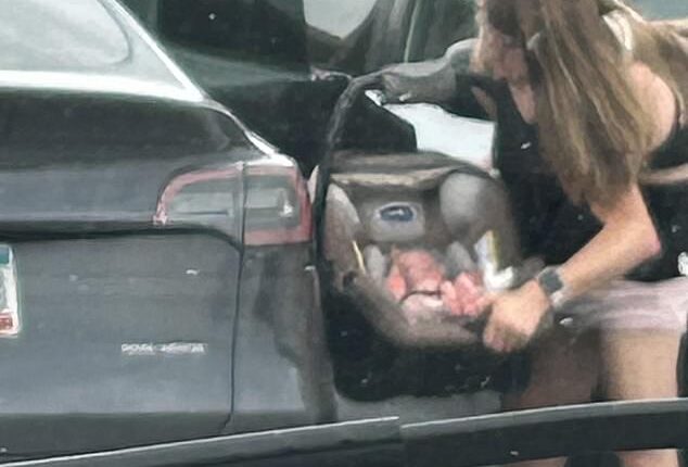 Nothing has caused as much surprise as the photo that emerged of Abby and Brittany Hensel loading a baby in a car seat into the back of a black Tesla in a parking lot in Arden Hills, Minnesota, last month