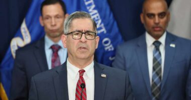 Who is Howie Rubin, the money manager charged with sex trafficking and torturing women?