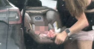 Last month, Abby and Brittany Hensel, 35, from Minnesota, were photographed carrying a little one in a car seat and placing the baby into the back of a black Tesla (pictured)