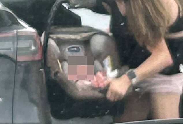 Last month, Abby and Brittany Hensel, 35, from Minnesota, were photographed carrying a little one in a car seat and placing the baby into the back of a black Tesla (pictured)