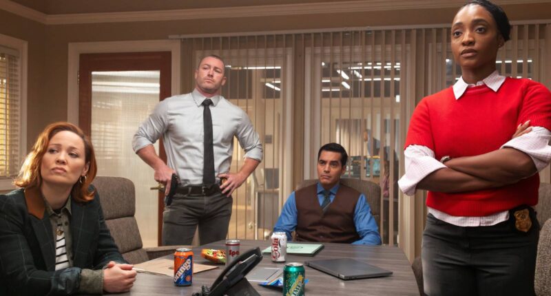 Why ABC Is Delaying The Rookie Season 8 & Will Trent Season 4 To 2026