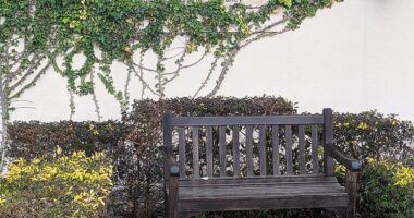 The Spa at Château Élan is a quiet sanctuary that offers weary city folk the chance to escape and rejuvenate