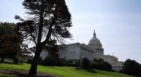 Why ‘stubbornly optimistic’ investors are brushing aside the threat of a government shutdown this week