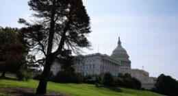 Why ‘stubbornly optimistic’ investors are brushing aside the threat of a government shutdown this week