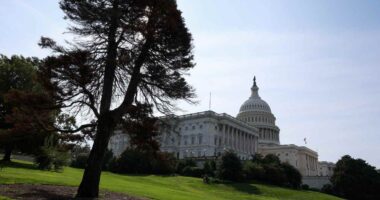 Why ‘stubbornly optimistic’ investors are brushing aside the threat of a government shutdown this week