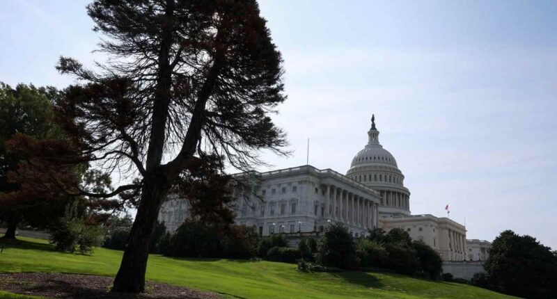 Why ‘stubbornly optimistic’ investors are brushing aside the threat of a government shutdown this week