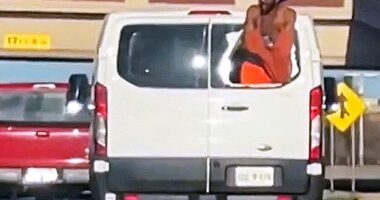 Wild moment shirtless inmate in handcuffs hangs out the broken window of prison van while speeding down highway