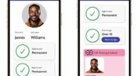 Detailed plans for what has been dubbed a 'BritCard' could be announced by the Prime Minister as early as tomorrow. Pictured: Mock-ups of what the cards could look like