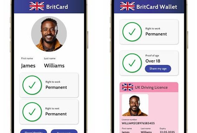 Detailed plans for what has been dubbed a 'BritCard' could be announced by the Prime Minister as early as tomorrow. Pictured: Mock-ups of what the cards could look like