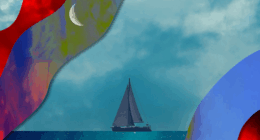 Saltcrop cover art