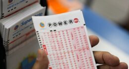 The winning numbers for the latest drawing of the $1.8 billion Powerball lottery have been revealed as 11, 23, 44, 61, 62 with Powerball 17