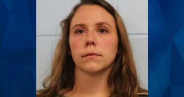 Wisconsin Elementary School Teacher Cries in Court After Sexually Enticing 11-Year-Old Boy