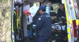 Two men remain in hospital after they were allegedly stabbed at a home in the Blue Mountains. Pictured are paramedics at the scene