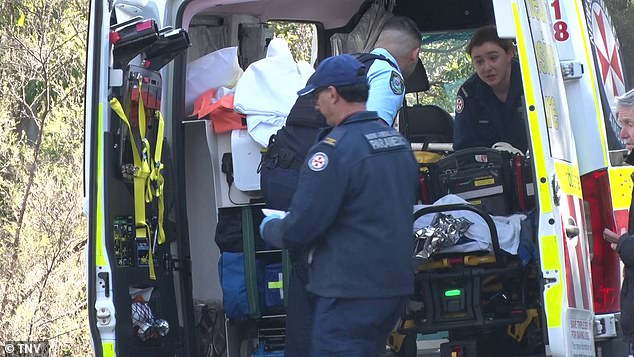 Two men remain in hospital after they were allegedly stabbed at a home in the Blue Mountains. Pictured are paramedics at the scene