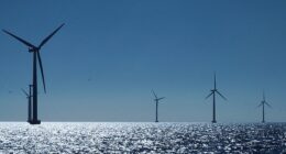Danish firm Orsted, which has 12 wind farms in Britain which generate 7 per cent of the country's electricity, became the latest to bemoan slowing speeds amid worries over the UK's energy strategy. Pictured: A view of the turbines at Orsted's offshore wind farm near Nysted, Denmark, September 4, 2023