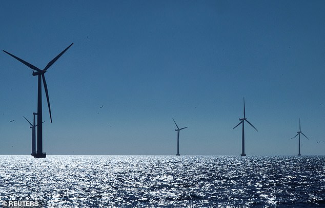 Danish firm Orsted, which has 12 wind farms in Britain which generate 7 per cent of the country's electricity, became the latest to bemoan slowing speeds amid worries over the UK's energy strategy. Pictured: A view of the turbines at Orsted's offshore wind farm near Nysted, Denmark, September 4, 2023
