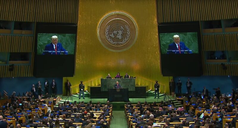 'Your Countries Are Going to Hell,' United Nations 'Funding an Assault on Western Countries and Their Borders.'