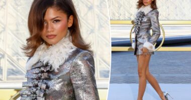 Zendaya goes pantsless in metallic Louis Vuitton look