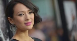 Zhang Ziyi Net Worth