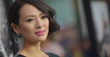 Zhang Ziyi Net Worth