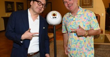 ‘Frenzied as ever’ — the Dan Ives-led Worldcoin treasury purchase is only latest example of market madness