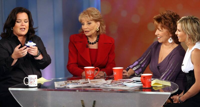 ‘The View’s Joy Behar Reveals Barbara Walters’ Bizarre Superpower for Success