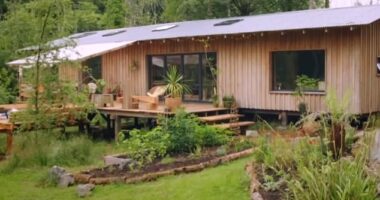 Marcus and Abi's finished completed home (pictured) was praised by Grand Designs host Kevin McCloud