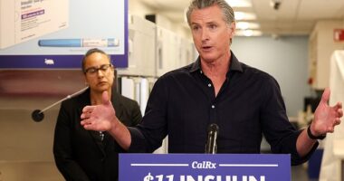 California Governor Gavin Newsom slammed Donald Trump 's plans to fire artillery shells over a California highway as part of a military demonstration on Saturday