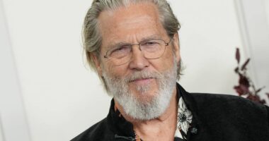 2 Years After 'Tron,' Jeff Bridges Was Scorching Hot in This Timeless Action Thriller