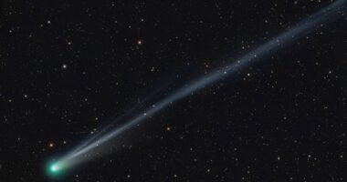 2 green comets shine bright. How to spot them in the night sky