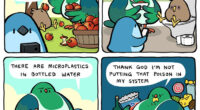 20 New Bird Comics That Find Humor And Absurdity In Little Daily Things, By This Artist