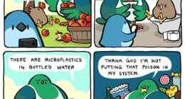 20 New Bird Comics That Find Humor And Absurdity In Little Daily Things, By This Artist