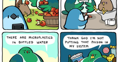 20 New Bird Comics That Find Humor And Absurdity In Little Daily Things, By This Artist