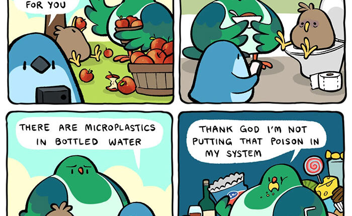 20 New Bird Comics That Find Humor And Absurdity In Little Daily Things, By This Artist