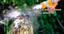 63 Psychology Memes That Are Funny, Clever, And A Little Too Accurate