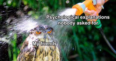 63 Psychology Memes That Are Funny, Clever, And A Little Too Accurate