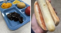 74 Food Pics That People Really Should Have Kept To Themselves (New Pics)