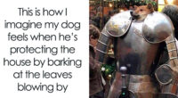 80 Funny Dog Memes For Anyone Who Has A Dog Or Just Wants A Good Laugh