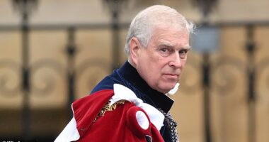 For Andrew, the humiliation is total. His royal life is, in effect, over, writes A. N. Wilson
