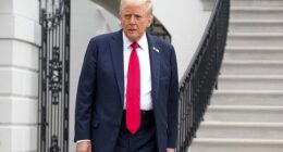 President Donald Trump wants the immediate release of the 48 hostages Hamas still holds, of whom, sadly, only 20 are now reckoned to be still alive, a move which would relinquish what sway Hamas still has over Israel