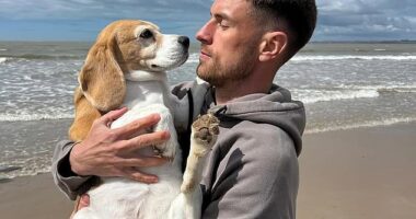 Aaron Ramsey has provided an update on his dog Halo after the pooch went missing this month