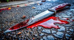 Afghan Mass Stabbing Suspect Is an Illegal Immigrant.