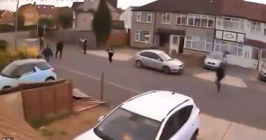 Footage shows the moment police Tasered and arrested an Afghan national after a triple stabbing