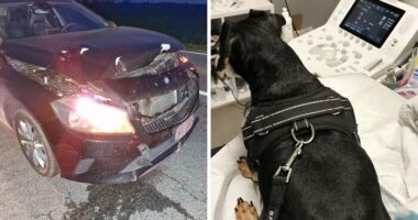 After A Car Accident, Our Family Is Trying To Rebuild